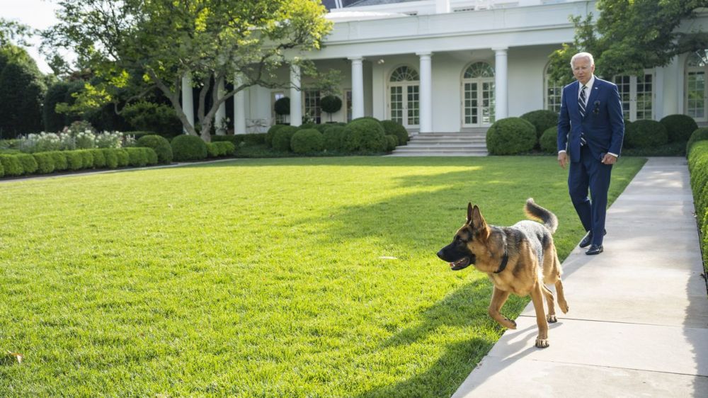 D.C. might not see a presidential pet in the next administration