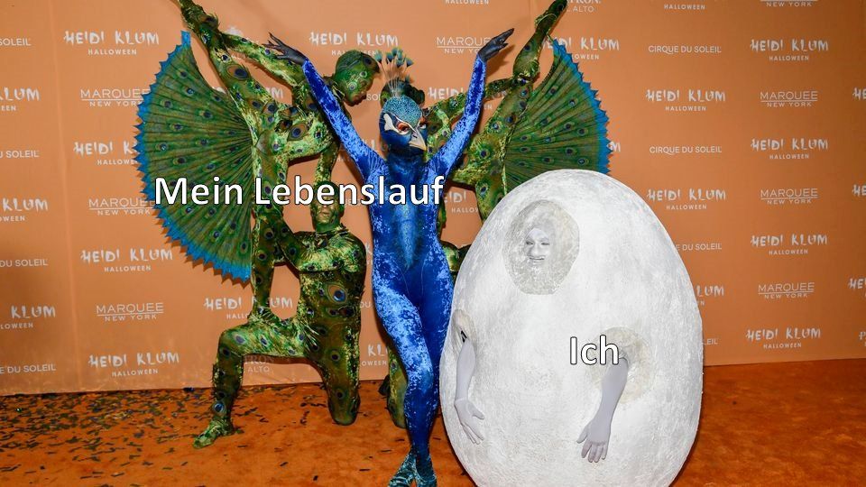 Heidi Klum als Pfau mit der Caption "Mein Lebenslauf", Tom Kaulitz als Ei mit der Caption "Ich"