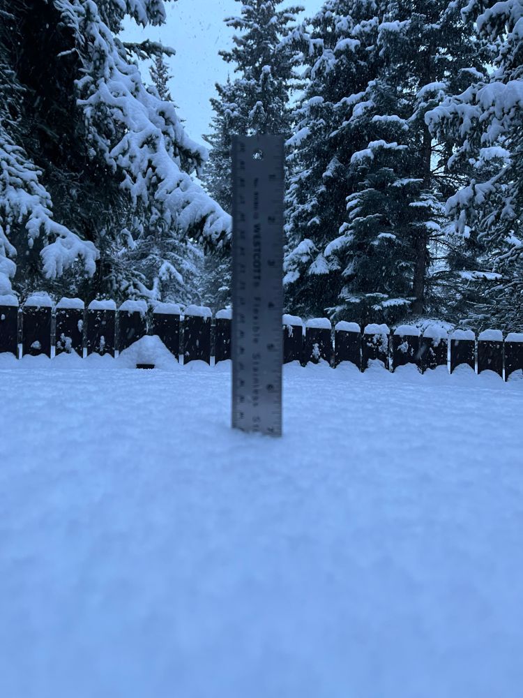 A steel ruler, embedded in snow up to the 13 cm mark, sits on the top of a Mini Cooper S. In the background is a snow-covered fence and snow-covered trees. 