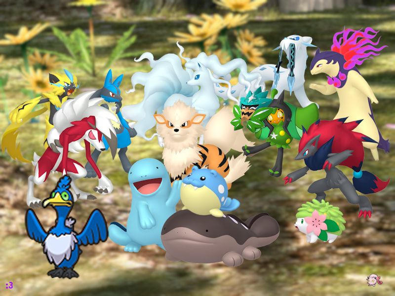Left to Right: Zeraora, Midnight Lycanroc, Cramorant, Lucario, Quagsire, Alolan Ninetails, Arcanine, Clodsire, Spheal, Ogerpon, Chien-pao, Hisuian Typhlosian, Shaymin, Zoroark