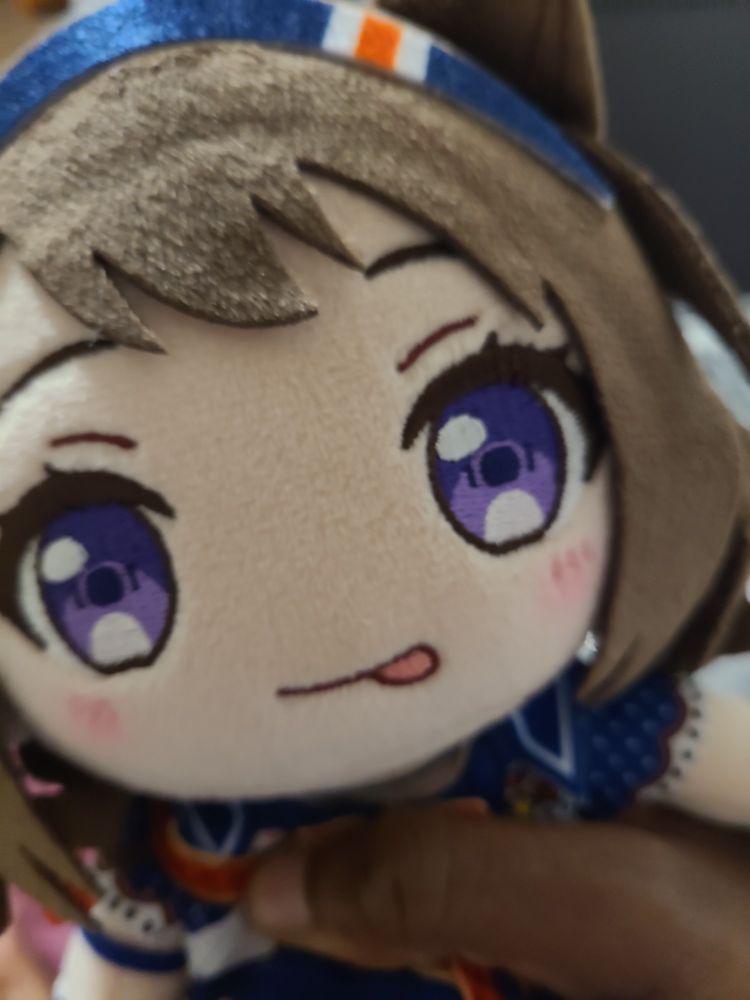 A plush of Toyama Kasumi of BanG Dream! fame