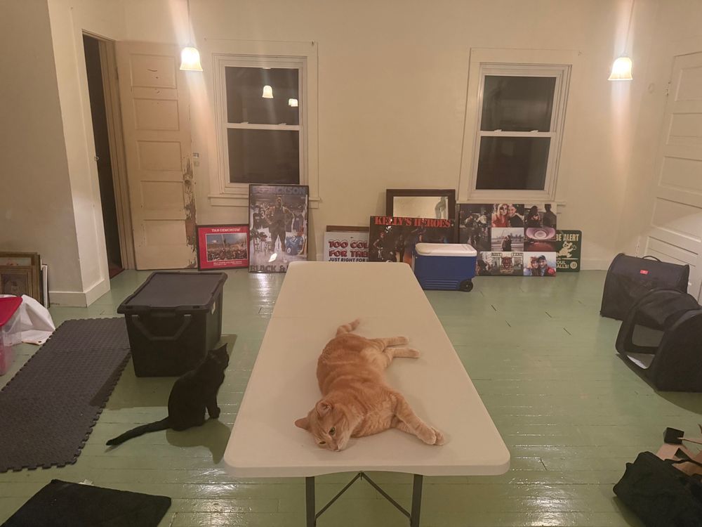 An attic with a folding table with an orange tabby cat laying on the table. Many items strewn about. 