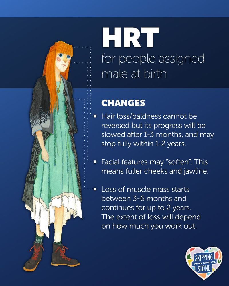 HRT for people assigned male at birth. Changes. Hair loss/baldness cannot be reversed but its progress will be slowed after 1-3 months, and may stop fully within 1-2 years. Facial features may “soften”. This means fuller cheeks and jawline. Loss of muscle mass starts between 3-6 months and continues for up to 2 years. The extent of loss will depend on how much you work out.
