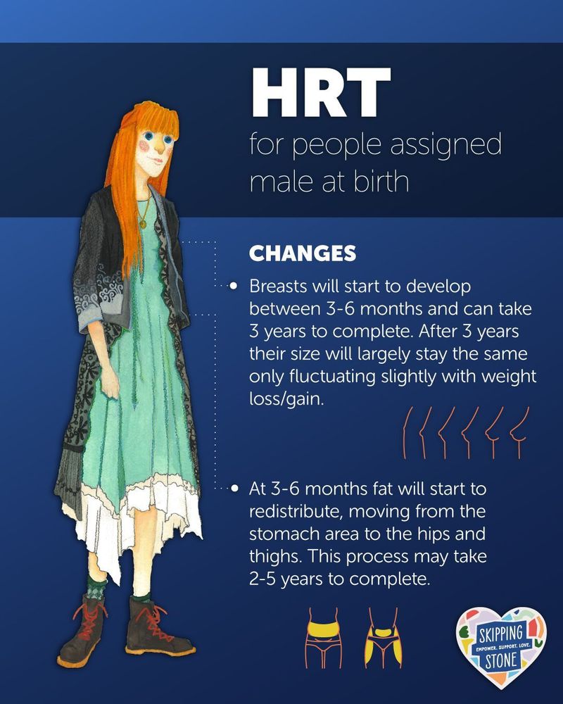 HRT for people assigned male at birth. Changes. Breasts will start to develop between 3-6 months and can take 3 years to complete. After 3 years their size will largely stay the same only fluctuating slightly with weight loss/gain. At 3-6 months fat will start to redistribute, moving from the stomach area to the hips and thighs. This process may take 2-5 years to complete.