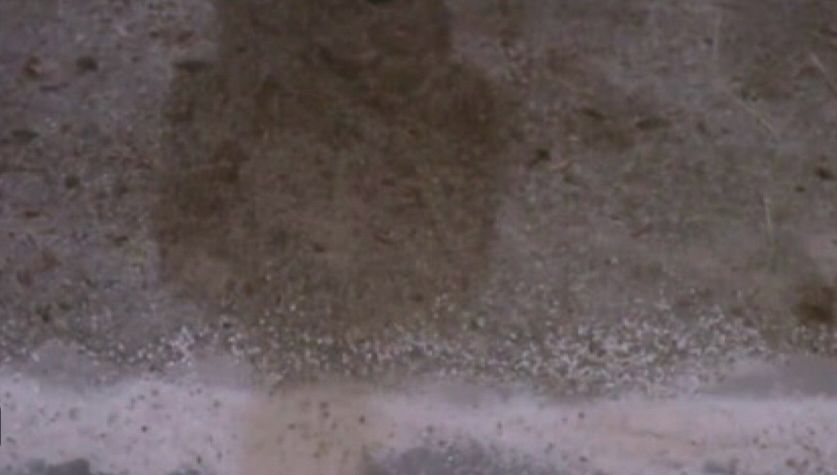 Hint: Who had a boner?