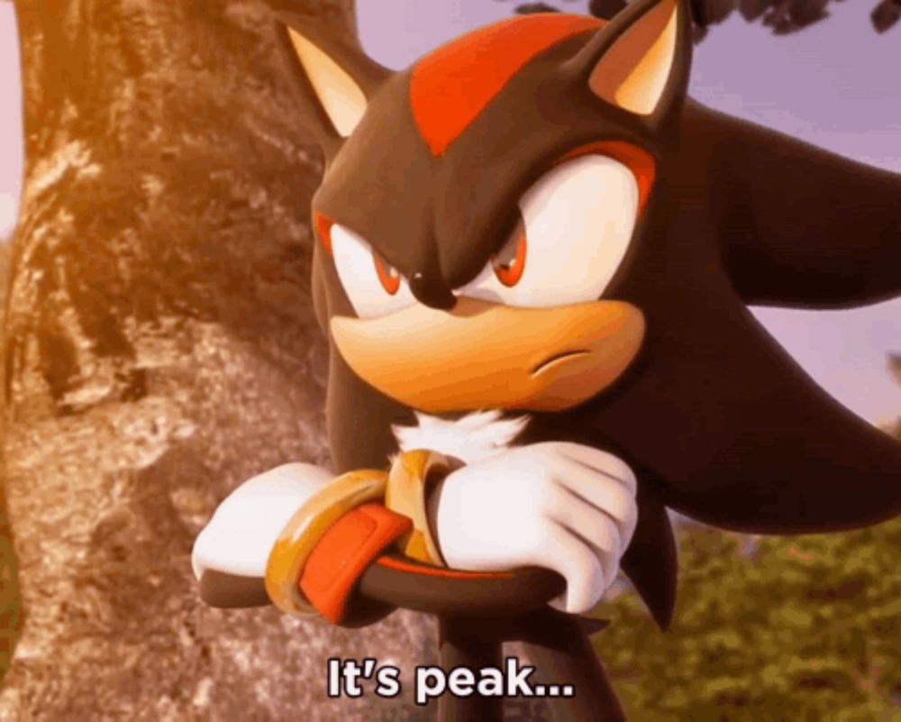 shadow the hedgehog from the video game sonic the hedgehog