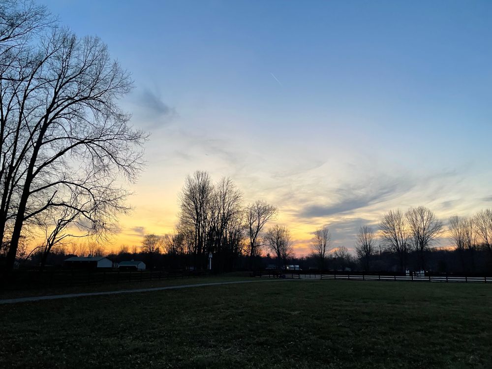 A picture of sunset at a horse farm, the sky is blue with orange and purple clouds, the trees are black against the sky