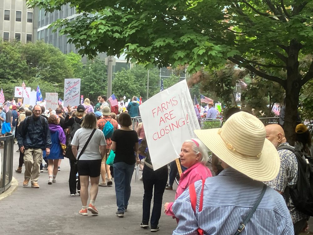 Group of protesters at No Kings protest in Philadelphia PA on 2025-06-14