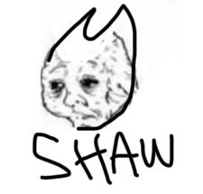 “yes honey” meme guy but its hornet wearily saying SHAW 