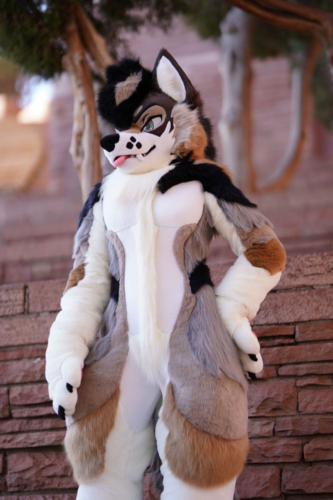 Wolf full suiter posing with his head to the side and his hand on his hip.