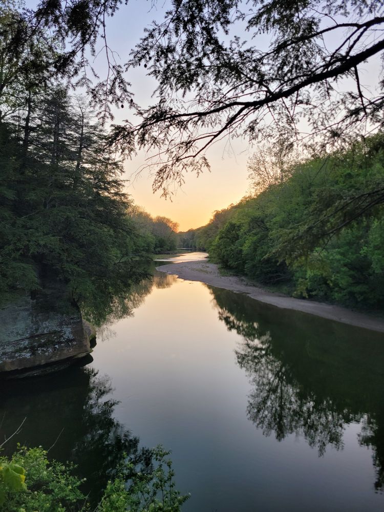 A photo looking over a creek in the forest. The sun is setting in the background. 