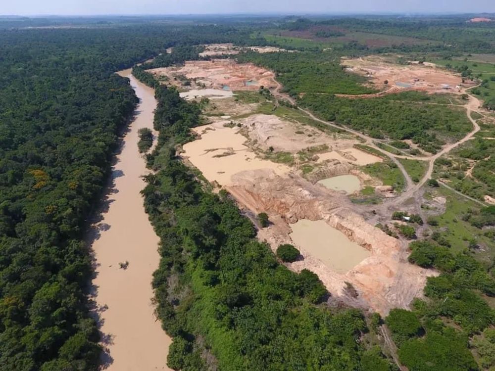 Os Gigantes: secretária de Meio Ambiente de Peixoto de Azevedo (MT) é casada com líder garimpeiro - De Olho nos Ruralistas