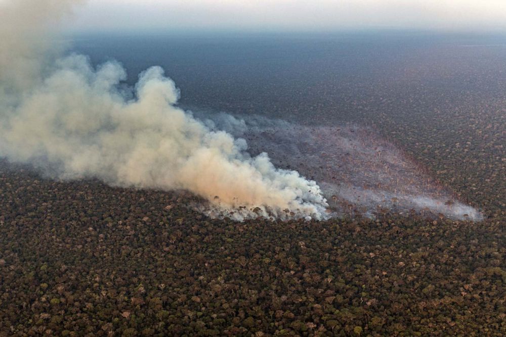 Prefeituras na Amazônia não têm estrutura para lidar com queimadas e desastres ambientais, aponta MP - De Olho nos Ruralistas