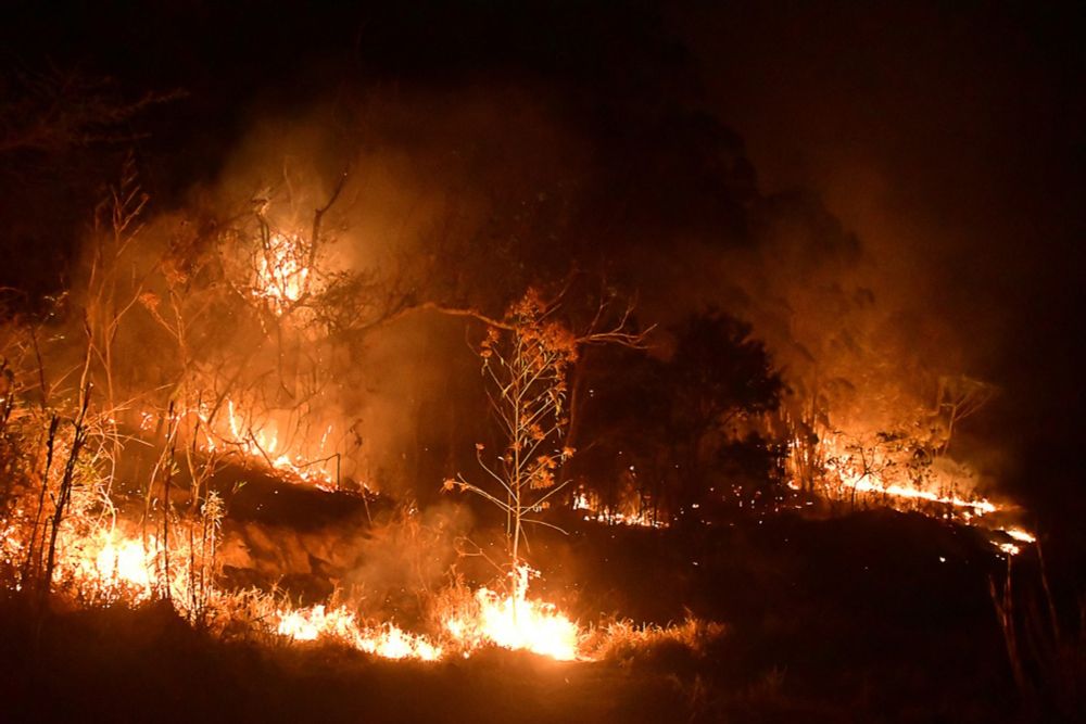 Queimadas: chega a 96 os inquéritos abertos pela PF para investigar incêndios pelo país