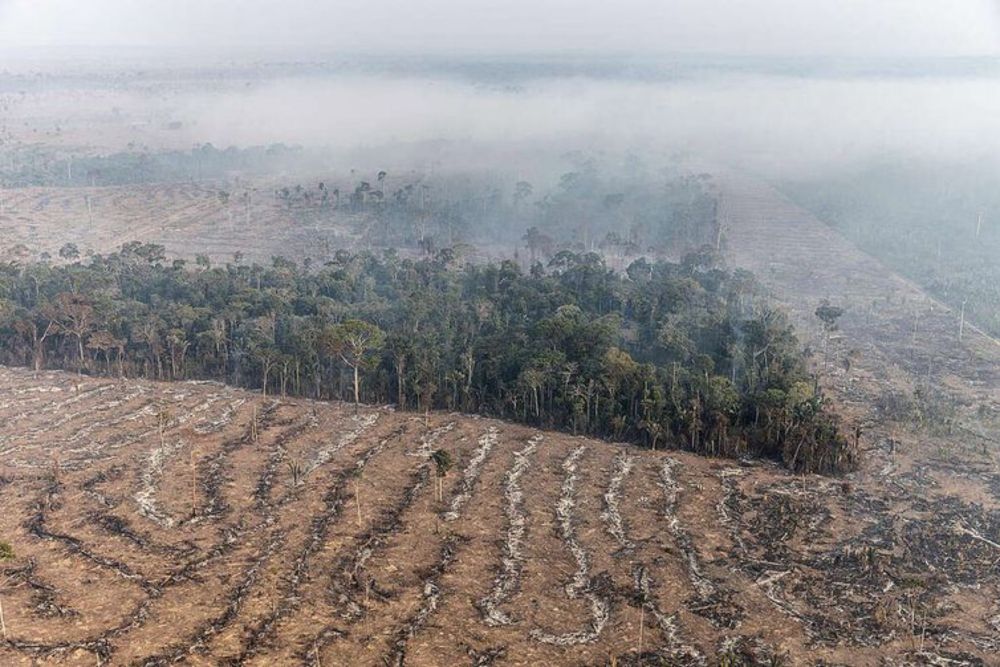 Fogo na Amazônia se concentra em locais onde agronegócio avança