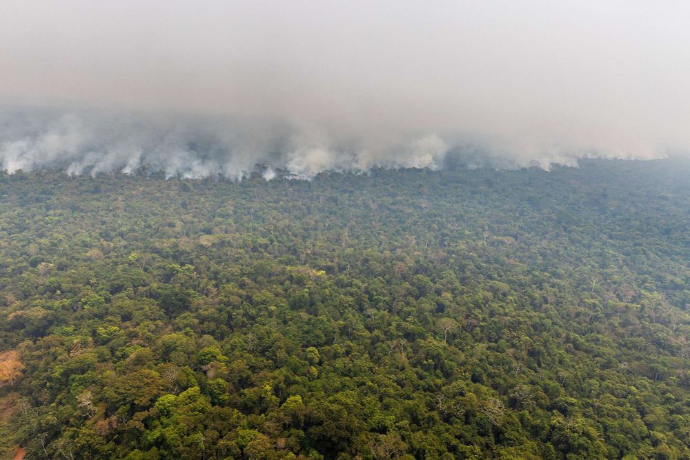 Xingu em chamas: Território Indígena Capoto-Jarina luta contra o avanço das queimadas - Greenpeace Brasil