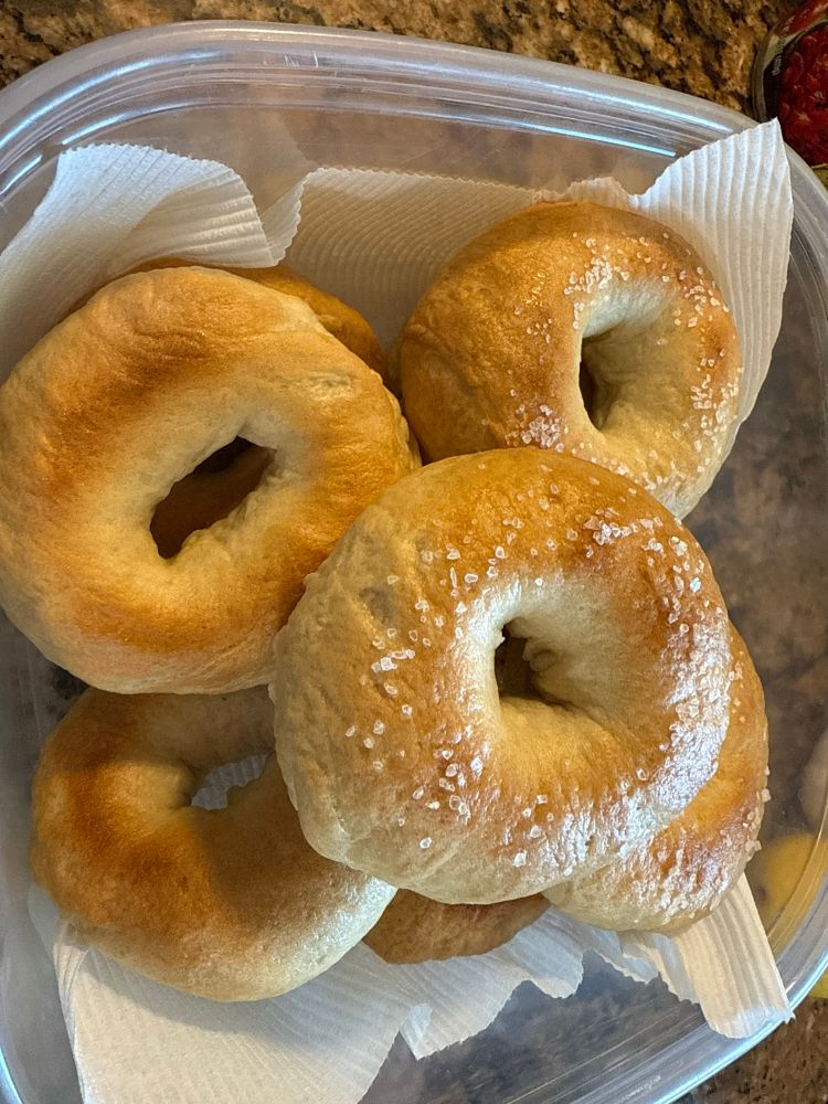 Overhead pic of a stack of freshly baked bagels in a large Tupperware container lined with paper towels