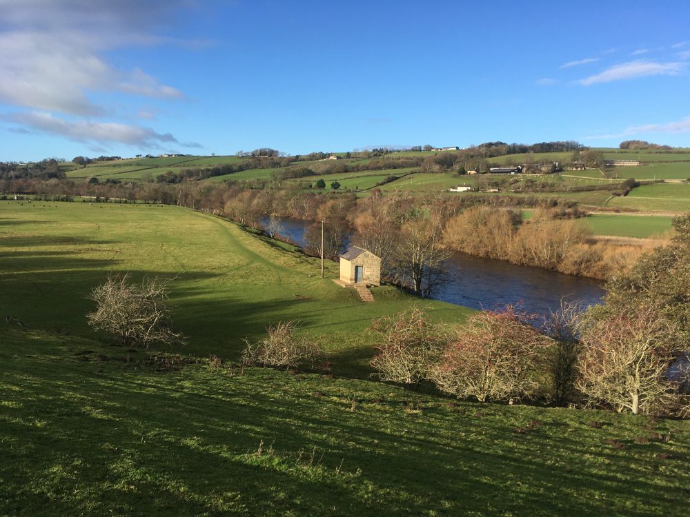 Sunny day. Only a few whispy clouds on a pale blue sky. River South Tyne meandering beside grass field to the left and trees to the righr.