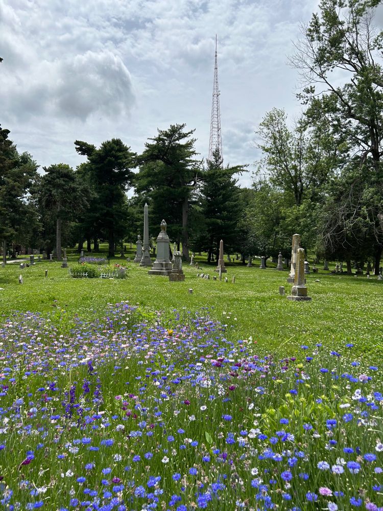 Flowers growing in a garden in an old historic cemetery with granite monuments. A large steel transmission tower at a distance.