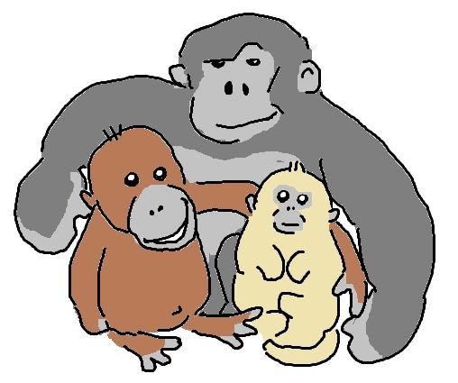 Gorilla holding a two baby monkeys 