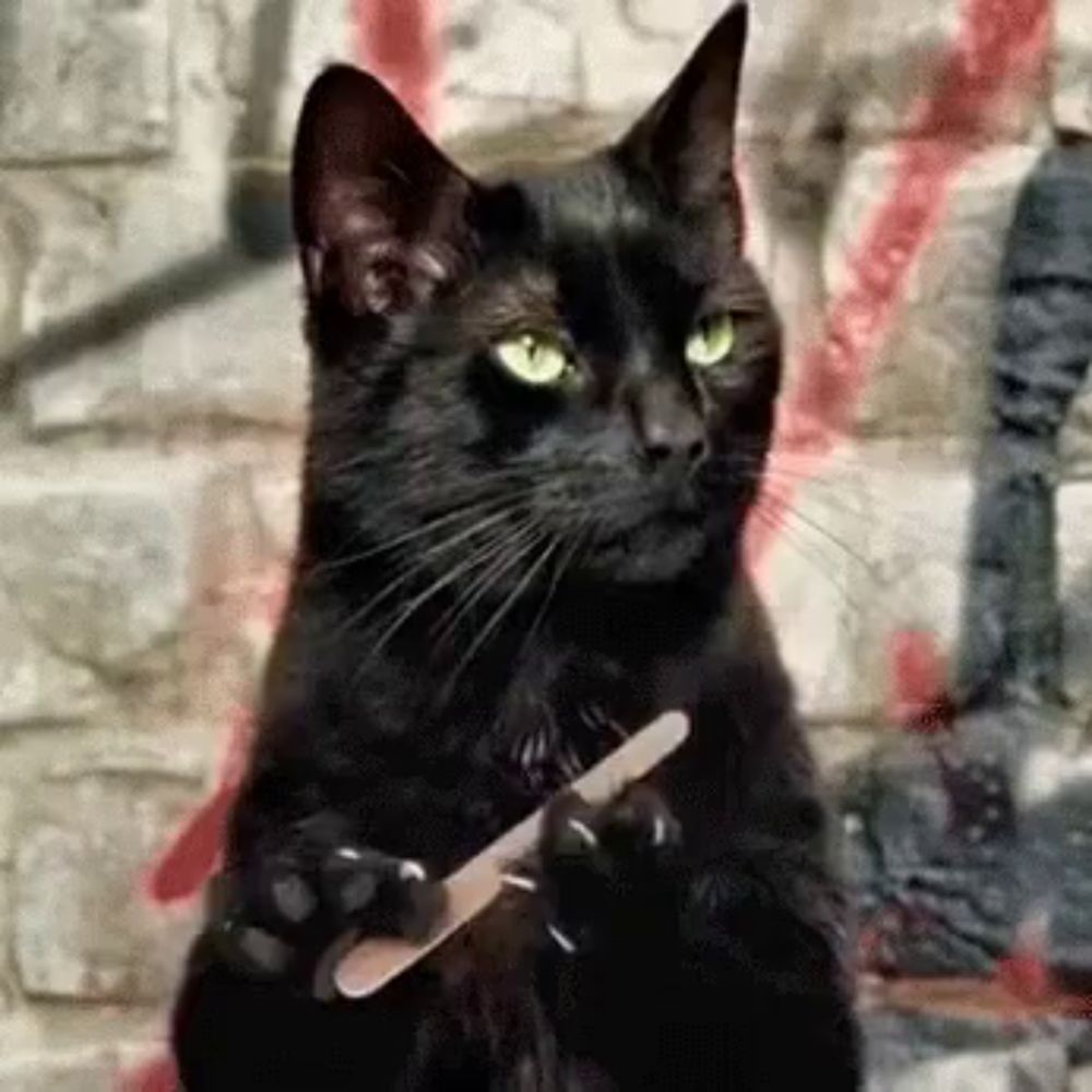 a black cat with green eyes is holding a nail file