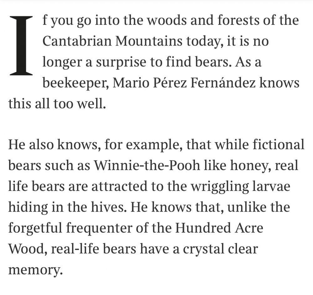 Winnie the Pooh as “the forgetful frequenter of the hundred acre wood” 