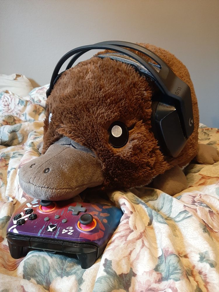 A picture of a stuffed platypus with a headset on and an Xbox controller placed in front of it