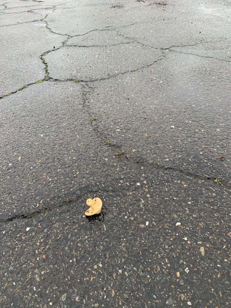 A dirty pacifier sits abandoned in a rainy parking lot. 
