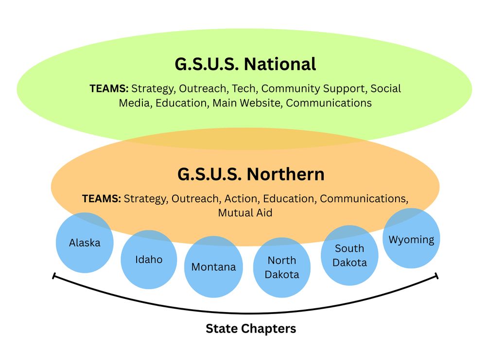 Diagram outlining the relationship between GSUS national, northern, and state chapters. The green circle on top reads GSUS National Teams: Strategy outreach tech community support social media education main website communications. The orange circle below reads GSUS Northern Teams: strategy outreach action education communications mutual aid. Six blue circles are below this reading Alaska, Idaho Montana North Dakota South Dakota Wyoming. A line curves below them reading state chapters. 