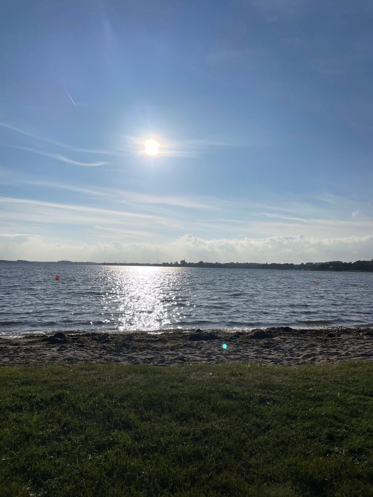 Zu sehen ist die Schlei mit Wiese und Strand im Vordergrund und gegenüberliegendes Ufer in der Bildmitte. Am Himmel scheint die Sonne.