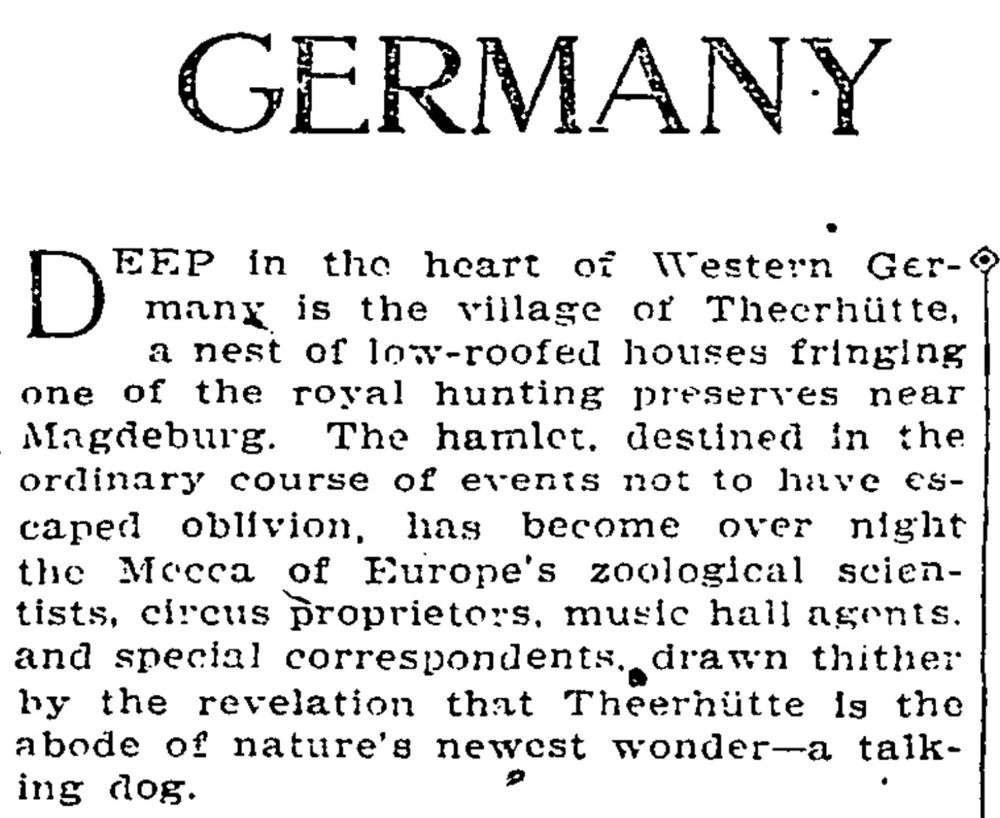 Screenshot of the first paragraph of a 1910 New York Times article about a talking dog living in German. The elaborately worded second sentence is quoted in the post.