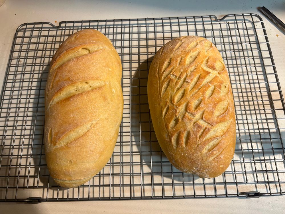 Decoratively slashed semolina bread loaves 