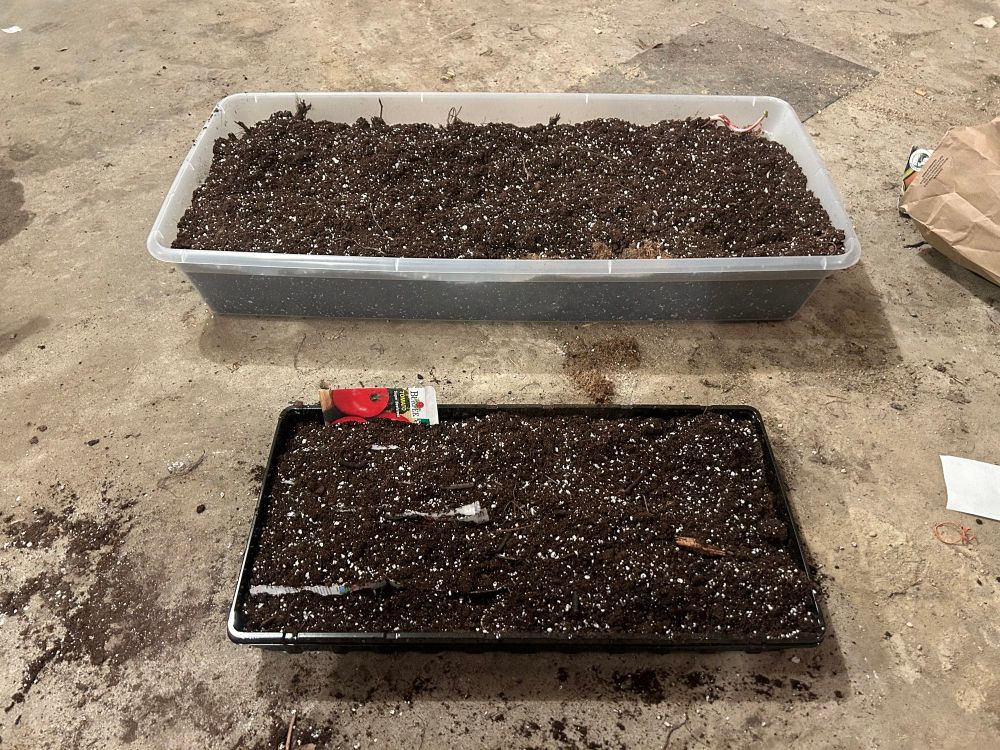 Top: large tub with rhubarb, potatoes, and strawberries.
Bottom: tomatoes, pumpkins, cucumbers, beans, chilies, and onions.