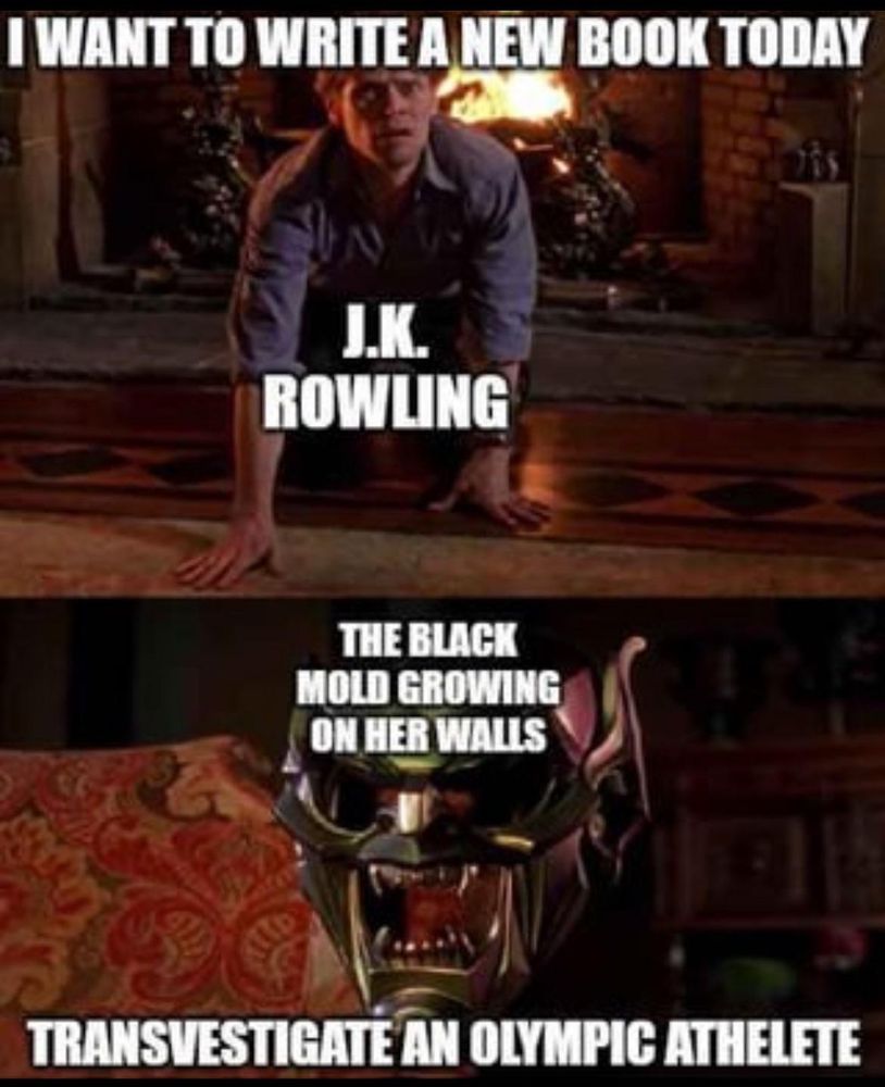 A meme showing a scene from the first spiderman movie of Norman Oswald talking to the green goblin mask. 

The first panel has Norman Oswald kneeling on the floor in fron of a fireplace. Top text says "I want to write a new book today" with the text "J.K.Rowling" on Norman Oswald. 

The below panel shows the green goblin mask hanging on a couch with the text "The Black Mold Growing on her walls" over the mask. The text under it says "transvestigate an Olympic athelete" 