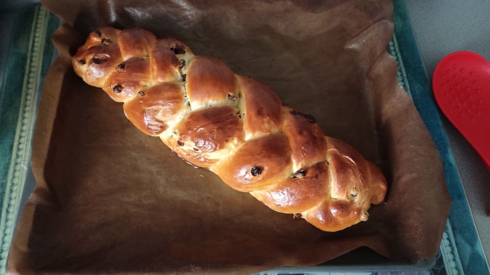Ganzer Hefezopf mit Rosinen noch auf dem Backblech.