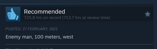 Screenshot of review