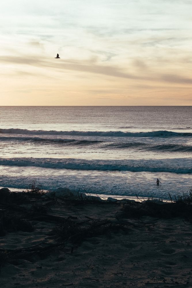 Photo d’un coucher de soleil sur l’océan. Les vagues sont bien dessinées. Premier plan le sable puis l’eau puis le ciel en haut. Ciel orangé dans lequel vole un oiseau dont on voit la silhouette en contrejour 