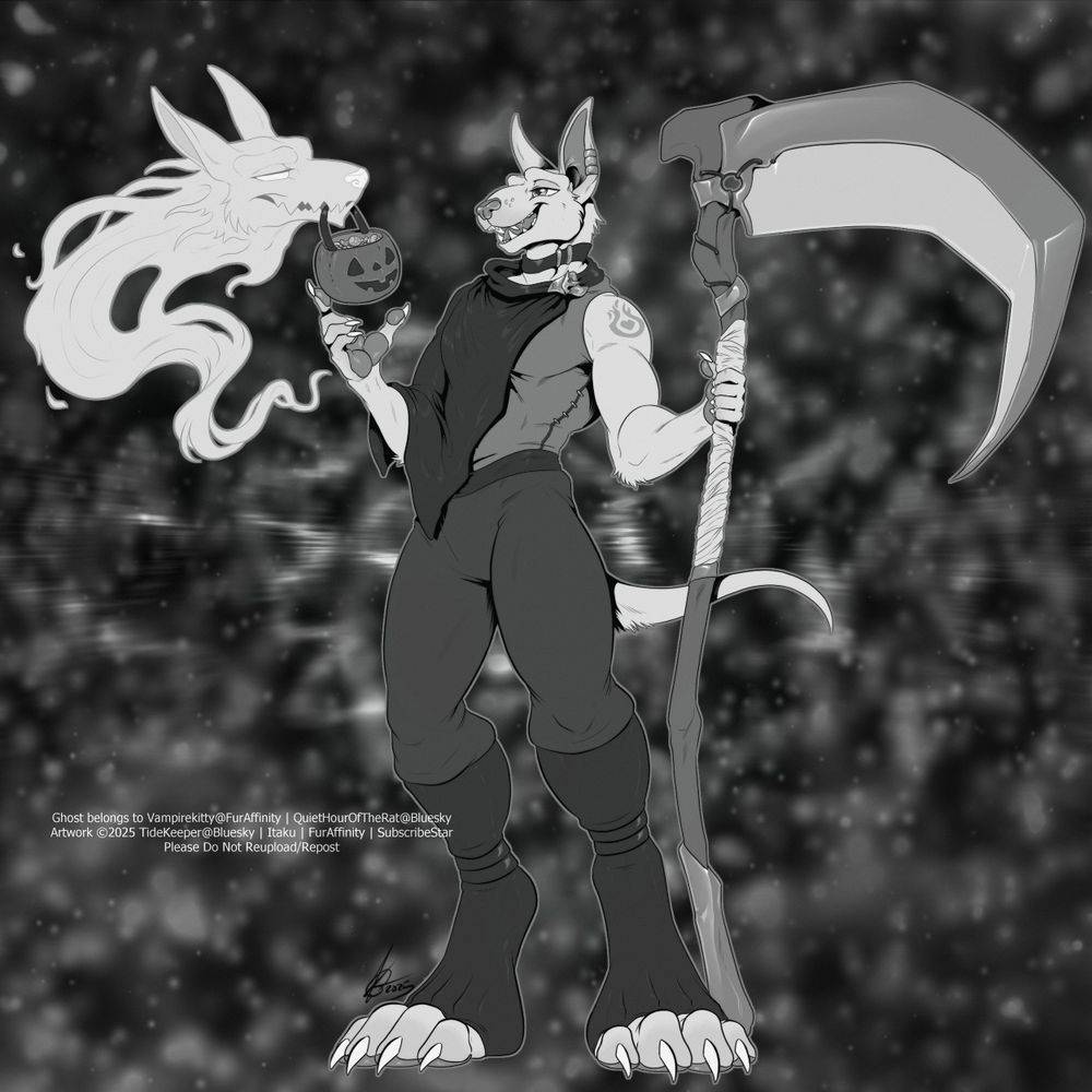 Ghost (an anthropomorphic albino dog with jackal-like features, belonging to @QuietHourOfTheRat), drawn in grayscale monochrome.  He stands beside one of his spectral-hound familiars, which hovers nearby, and holds a reaper's scythe beside himself.  In the spectral-hound's grinning jaws is a traditional plastic jack-o-lantern bucket, filled nearly to the brim with various candies.  Ghost is smiling merrily at the spectral-hound, and reaches up with one hand to accept the gift of sweets.  The two seem oblivious to any onlookers, and are calmly enjoying the Halloween festivities.  