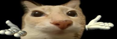 El emoticono modelado en 3D haciendo una expresión de confusión e indiferencia, pero reemplazado por una foto distorsionada de un gato y conservando únicamente las manos.