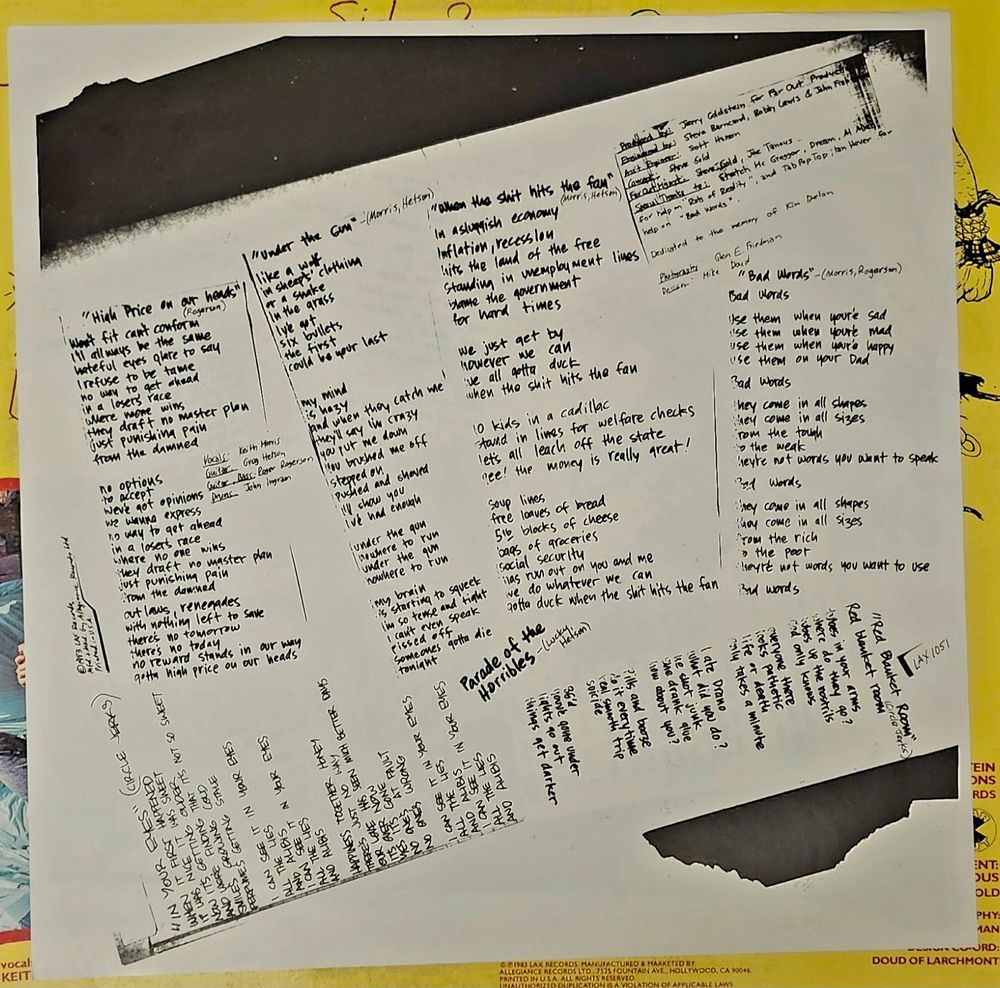 Record inner sleeve 1