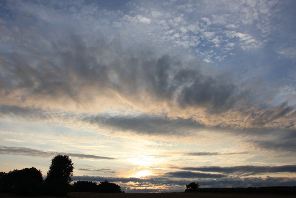 Setting sun, grey and white bands of cloud and silhouetted trees and horizon in the foreground.