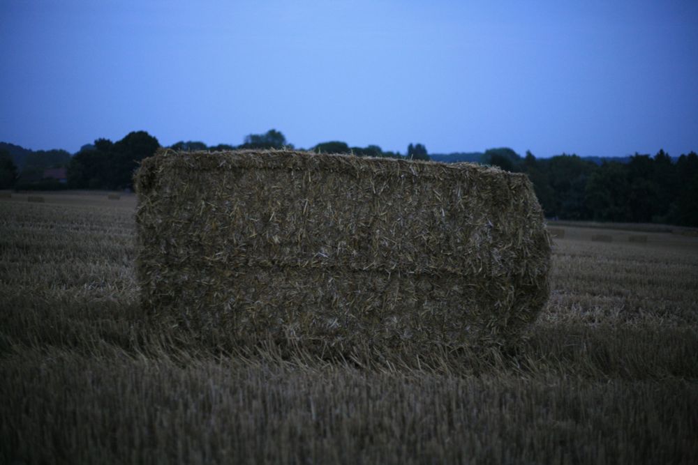 Big wheat brick thing.