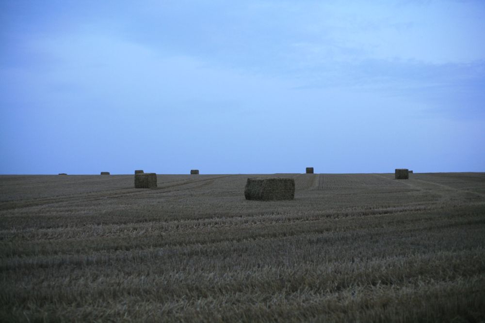 Blue sky after sun set, a shaven field, and wheat brick things.