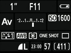 Canon 40D settings info screen, from 2007, the first time Canon did something that then became normal.

It is like a dSLR archaeopteryx, or something.