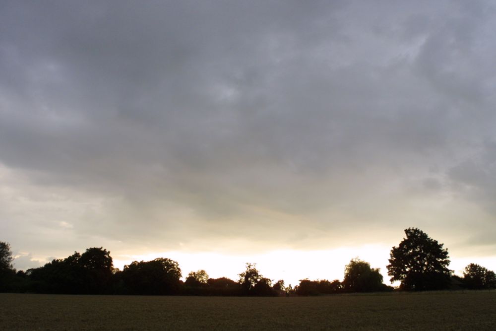 Setting sun behind silhouetted trees. Grey ominous sky above.