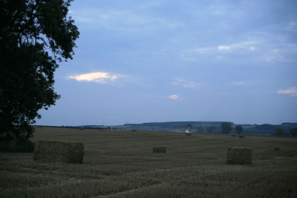Lights in the distance, weird noises, shaven field and wheat brick things.