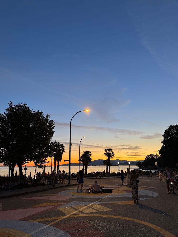 Solnedgang med trær og asfalt i forgrunnen. 