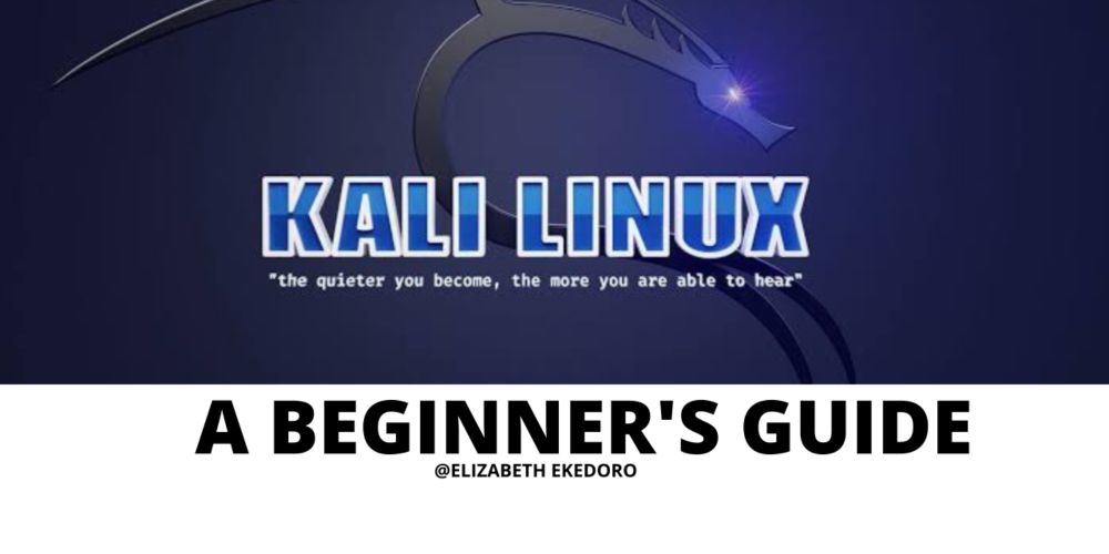 KALI LINUX 101: A BEGINNER'S GUIDE