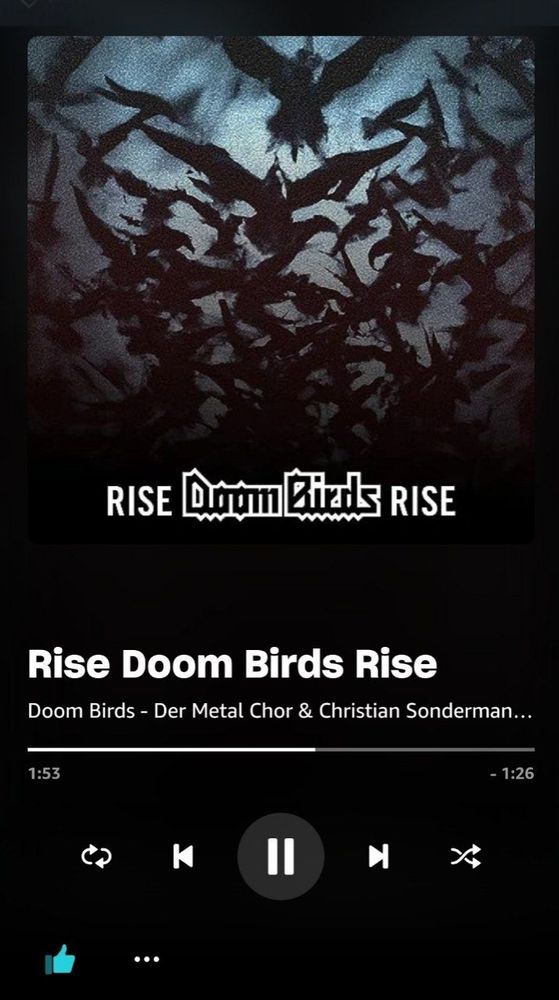 Titelanzeige von Amazon Music für den Song "Rise Doom Birds Rise" von "Doom Birds - Der Metal Chor & Christian Sondermann".