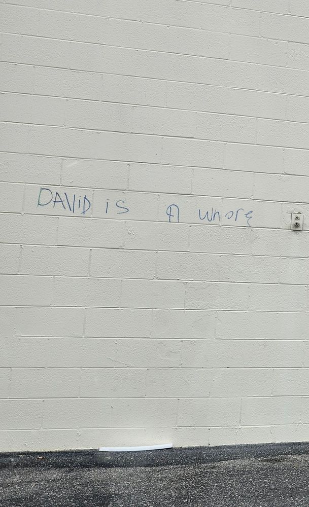 Graffiti that says "David is a whore"